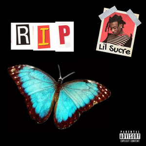 呃呃呃呃呃呃呃呃呃啊呀bcu姐姐什么歌
