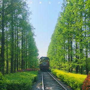 呃呃呃呃呃呃呃呃呃啊呀bcu姐姐什么歌
